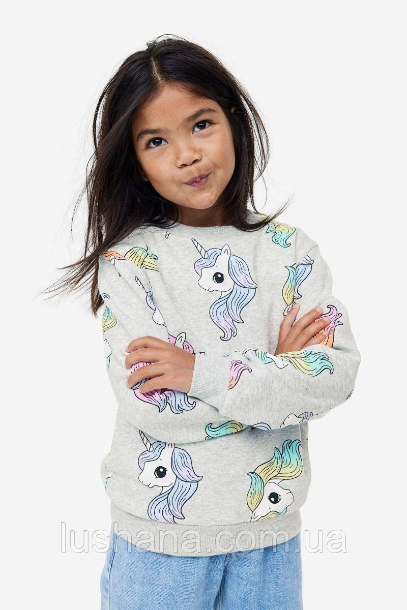 Утеплений джемпер світшот H&M на дівчинку / на флісі / р.110-116 / 4-6 років, фото 1