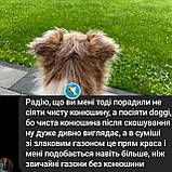 Газон Жара Універсал насіння універсальних стійких газонних трав гарантія+ консультація, фото 7