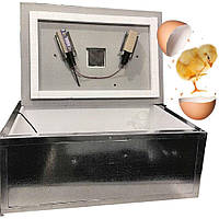 Цифровий інкубатор, 100, з механічним переворотом у металевому корпусі, для домашнього використання