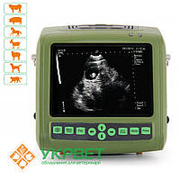 УЗД апарат MSU2 VET для ВРХ