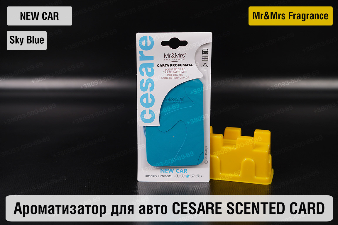 Ароматизатор для авто CESARE SCENTED CARD/АРОМАТНА КАРТКА небесно-блакитний НОВЕ АВТО – Mr&Mrs Fragrance