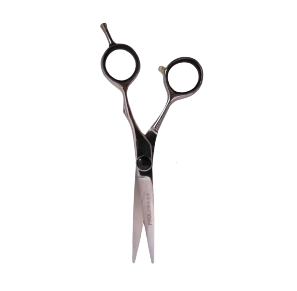 Ножиці для стрижки Proline 5.5 (CK12 5.5), фото 1