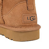 Натуральні жіночі уггі UGG Australia Ultra Mini women  Chesnut, фото 6