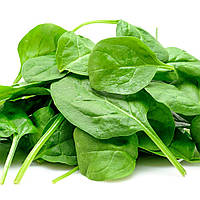 Насіння Шпинат Матадор на вагу, Агролінія