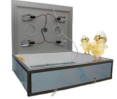 Інкубатор універсальний, 140, у пластиковому корпусі ,з механічним переворотом яєць