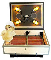 Інкубатор цифровий ІБ-140, з механічним переворотом яєць,  для домашнього господарства