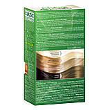 Освітлювач для волосся ENERGY BLOND CLASSIC, фото 5