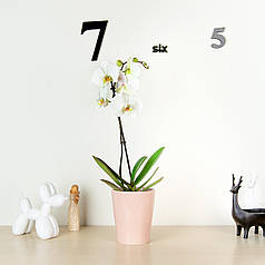 ГОРЩИК ДЛЯ КВІТІВ