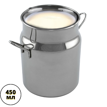 Бідончик із нержавіючої сталі 450 мл Молочник бідончик Соусник металевий Молочники нержавіюча сталь, фото 1