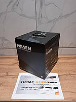 BlueSound Pulse M 1