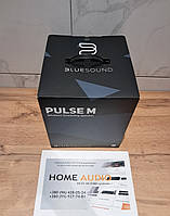 BlueSound Pulse M 2