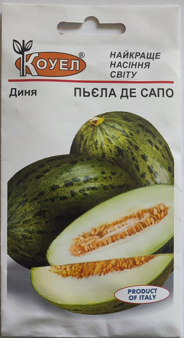 Диня Пьєла де Сапо 20 нас. Коуел, фото 1