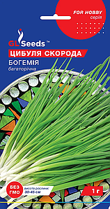 Насіння цибулі шніт Богемія 1г GL Seeds