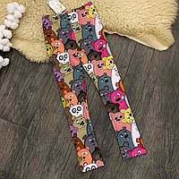 Дитячі легінси ведмедики Five Stars 10889-98p
