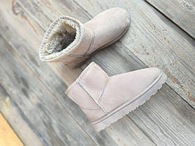 Уги бежеві екозамшеві світлі теплі зимові низькі кортінні непромокальні з лейбл UGG на п'ятці, фото 3