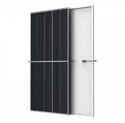 Сонячна батарея Trina Solar TSM-NE19R-605, 605 Вт, фото 1