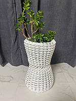 Кошик кашпо для квітки плітний