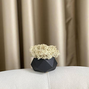 Кашпо зі стабілізованим мохом 10 см.Декор з моху.Мох Ягель