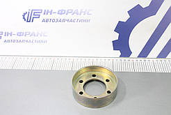 Шків водяної помпи Renault Kangoo I, Clio II, 19 1.9D/ dCi