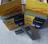 Скоби для степлера будівельного квадратні калені 14х11,3 мм Т53 Сталь під ручний інструмент перетин скоби 0,7 мм упаковка 1000 шт, фото 4