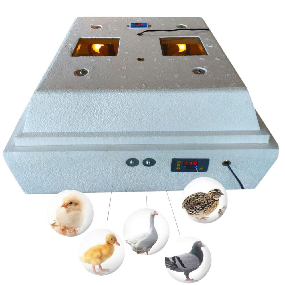 Побутовий інкубатор, 120 / 72, з автоматичним переворотом, для домашнього господарства, фото 1