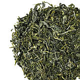 Кудін, падуб широколистий, фото 2