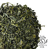 Кудін, падуб широколистий, фото 3