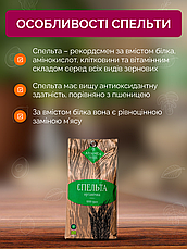 Зерно спельти органічне 1 кг ТМ Ахімса, фото 4