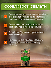 Борошно спельти 1 кг органічне жорнового помелу ТМ Ahimsa, фото 4