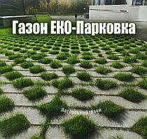 Міцний газон ЕКО-Паркування для заїзду авто травосуміш низькоросла газонна трава насіння міцний