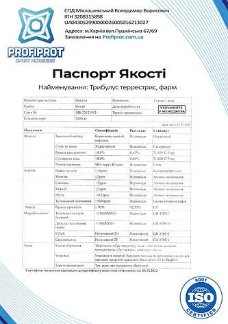 Екстракт Трибулуса 90% PROFIPROT 1 кг фарм, фото 3