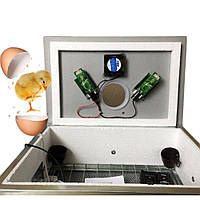 Побутовий інкубатор, 54, з автоматичним переворотом, для використання в господарстві