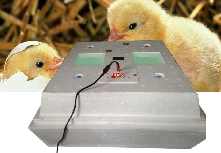 Інкубатор, 120 / 72, 12Вт, автоматичний переворот яєць, з цифровим терморегулятором, фото 1