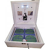 Інкубатор, 120 / 72, 12Вт, автоматичний переворот яєць, з цифровим терморегулятором, фото 2