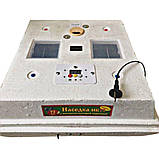 Інкубатор, 120 / 72, 12Вт, автоматичний переворот яєць, з цифровим терморегулятором, фото 3