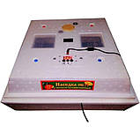 Інкубатор, 120 / 72, 12Вт, автоматичний переворот яєць, з цифровим терморегулятором, фото 5