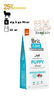 Brit Care Dog Hypoallergenic Puppy ягня 12 кг Сухий корм для цуценят всіх порід