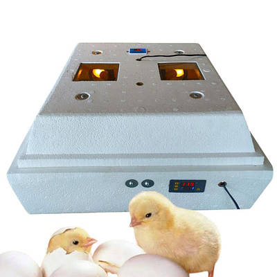 Домашний инкубатор - купить недорого, Prom.ua: цены, акции и отзывы ...