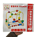 Барвиста Дерев'яна образова 3D Модель Лабіринта З Дроту, фото 7