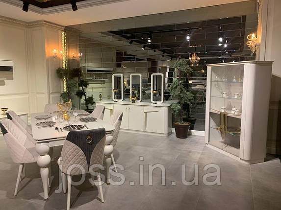 Вітрина люксова сучасна 2-х дверна, Арія, фото 1