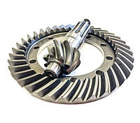 Головна пара Газель