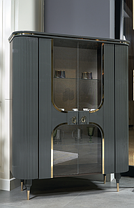 Вітрина люксова сучасна 2-х дверна, Камелія