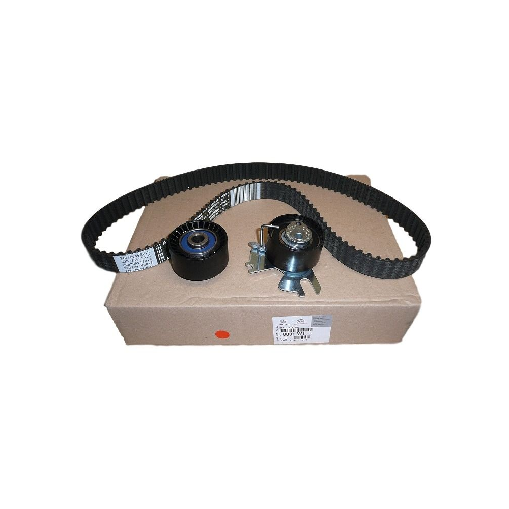 Комплект ГРМ Citroen Jumpy II 2.0HDI 10-, фото 1