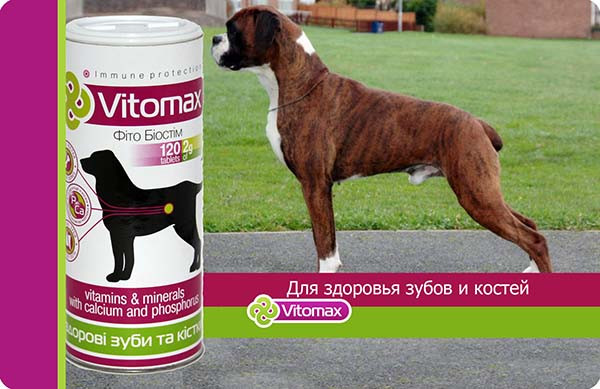 Вітаміни для собак Vitomax (для зубів і кісток з кальцієм і фосфором) 120табл