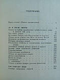 Лаврин А. Хроніки Харона (енциклопедія смерті). (б/у)., фото 11