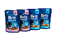 АКЦІЯ! Корм вологий Brit Premium для кошенят курка+риба, 3+1, фото 5