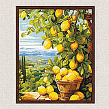 Картина за номерами Пейзаж. Гілка лимону. Натюрморт 40*50 см Art Craft 12039-AC, фото 3