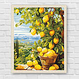Картина за номерами Пейзаж. Гілка лимону. Натюрморт 40*50 см Art Craft 12039-AC, фото 7