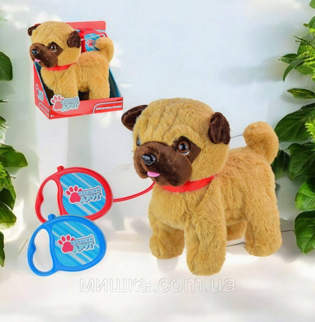 Собачка Мопс на повідку, м'яка інтерактивна іграшка 26 см, "Кращий друг" PL82011, фото 1