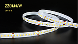 LED стрічка COLORS 192-2835-24V-IP20 18.9W 2855Lm 3500K 5м (D8192-24V-15mm-PW), фото 5